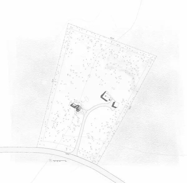 Site plan: setbacks maintained; the northeast tree and existing woodshed retained (kept for workshop and wood storage).